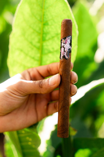 Scarce Pony Fanatix Exclusive