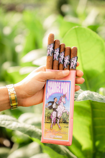 Scarce Pony Fanatix Exclusive