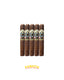 Ashton ESG 21 Year Salute 5 Pack