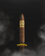 Arturo Fuente Don Carlos Eye of the Shark